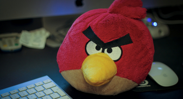 Home Workout #5: Attack of the Angry Birds
